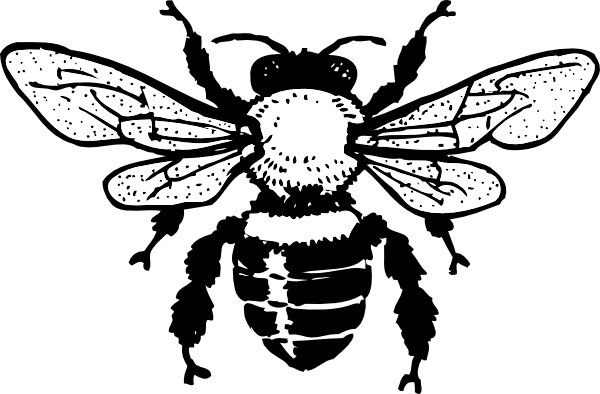 Brown Bumble Bee Clip art - Outline - Download vector clip art online