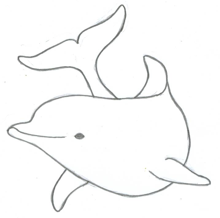 Realistic Dolphin Drawing - Gallery