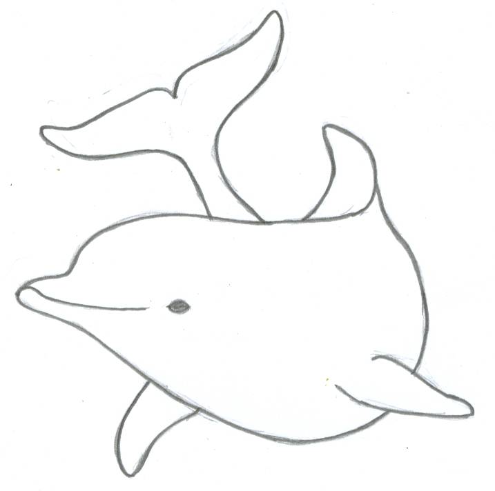 realistic dolphin drawing