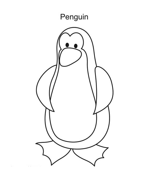A Simple Drawing of Penguin in Cartoon Coloring Page | Kids Play Color