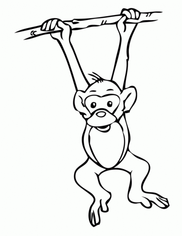Free Monkey Drawing, Download Free Monkey Drawing png images, Free ClipArts  on Clipart Library