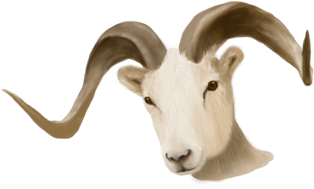 Painted Ram Head - unrestricted stock by KingaBritschgi on Clipart library