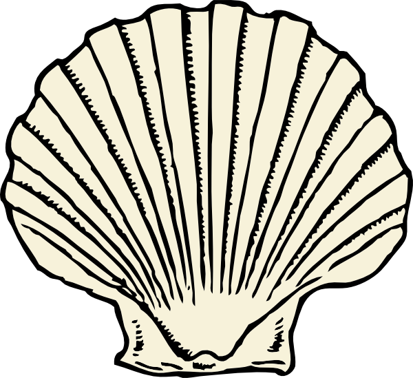 Scallop Shell Clip Art at Clipart library - vector clip art online 