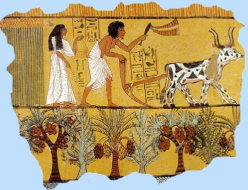 Farming in Ancient Egypt for kids