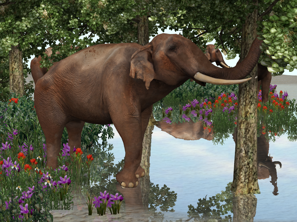 Animated ASIAN ELEPHANT from Arteria3d | Unity Community