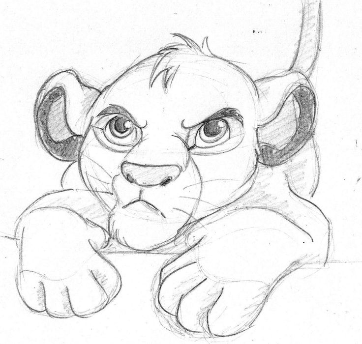 Featured image of post Simple Disney Drawings Lion King / Disney drawings cool drawings cartoon drawings drawings disney art drawings art king drawing lion king drawings sketches.