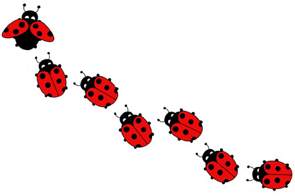 ladybugsleaving