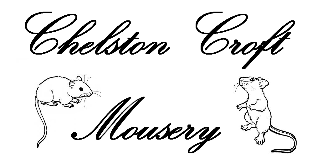 Fancy Mice Breeders ? View topic - A Mousery in two halves