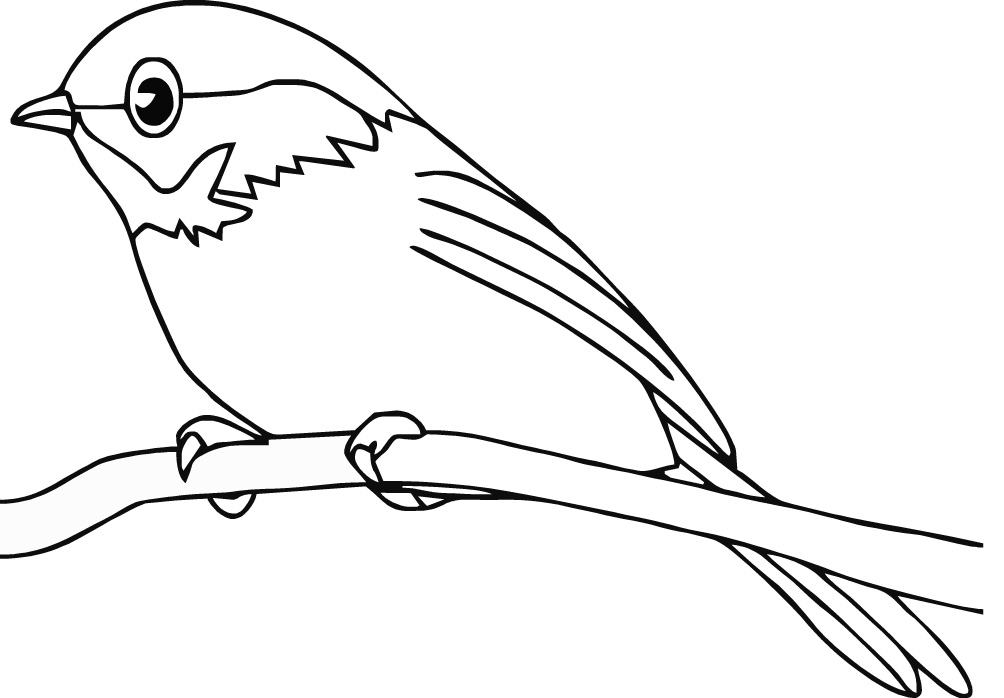 Cute Bird Coloring Pages Free Printable Pictures