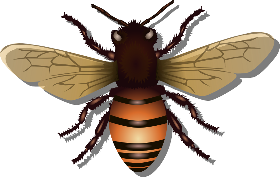 Bee and Flowers Clipart, vector clip art online, royalty free 