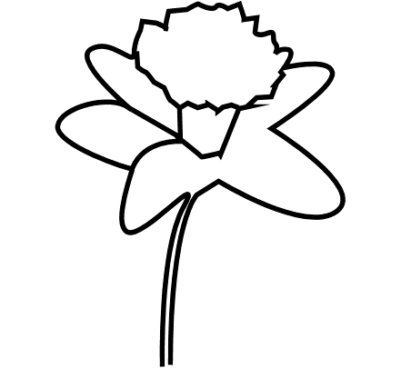 daffodils flower clipart black