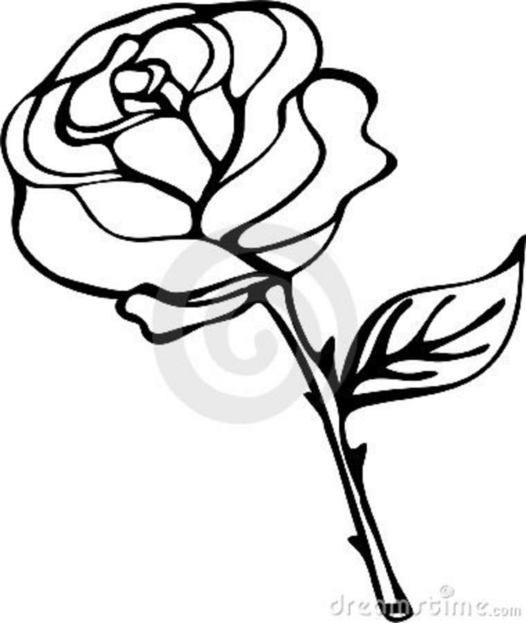 Rose Black And White Outline | Clipart library - Free Clipart Images