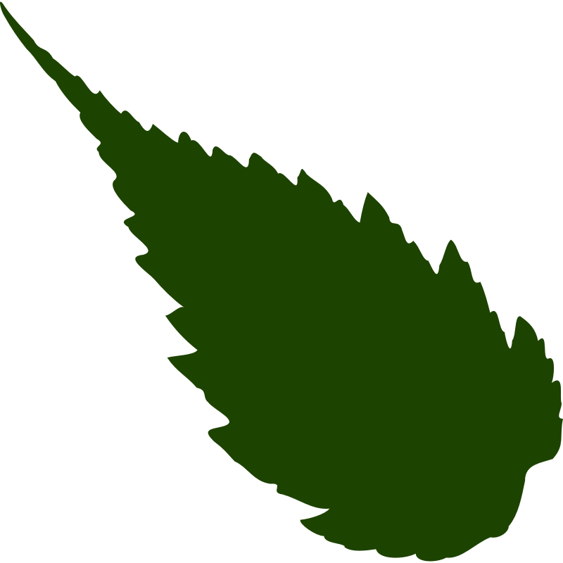 Clipart - leaf 05
