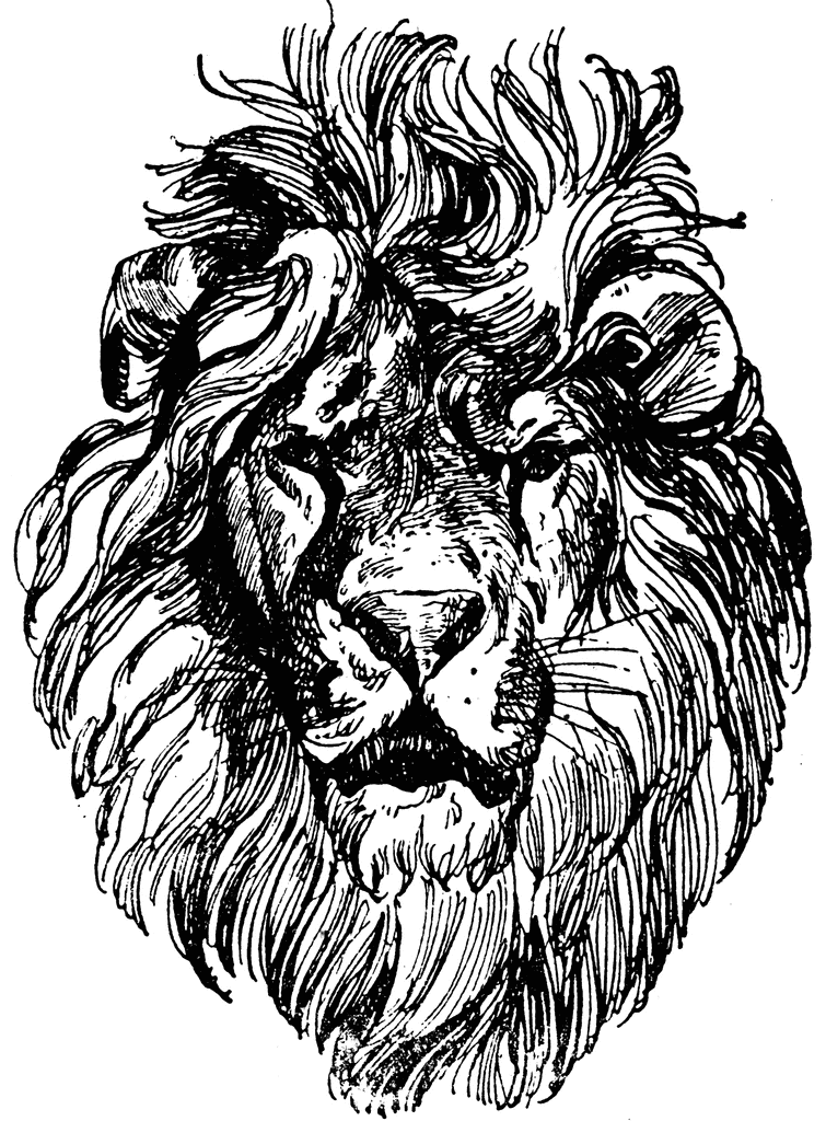 Line Art Lionhead