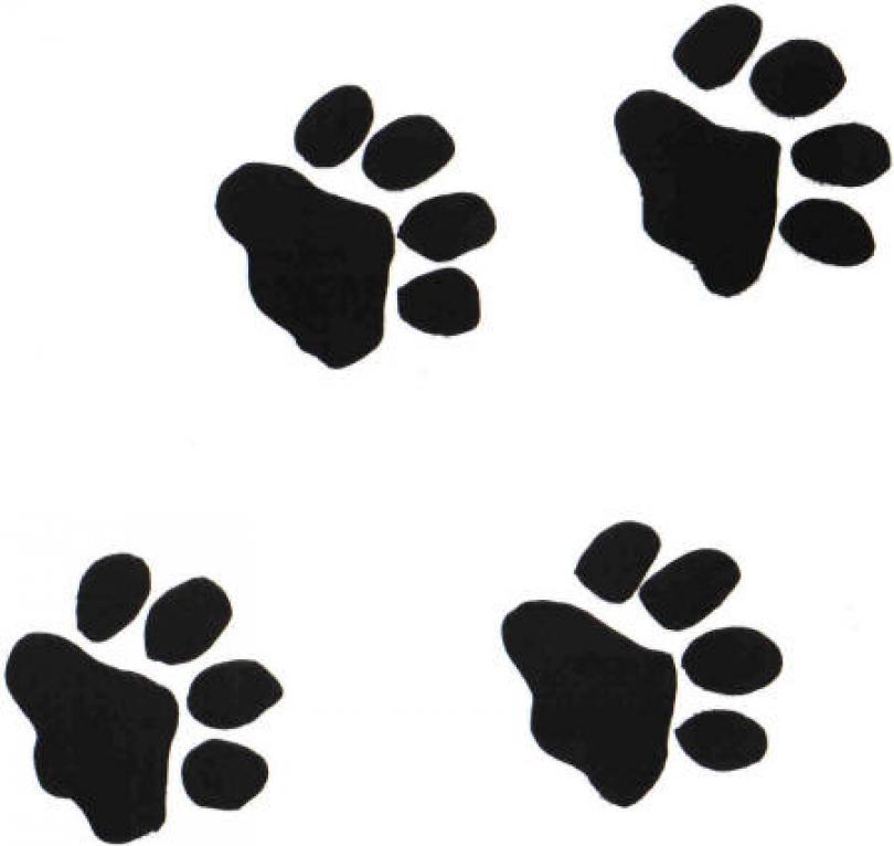 Black Panther Paw Prints - Clipart library - Clipart library