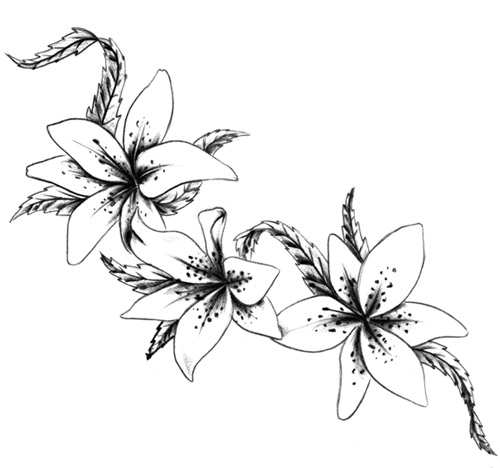 Drawings Tattoo   Flowers - Clipart library - Clipart library