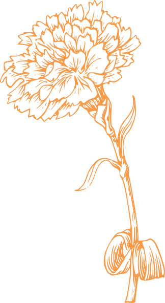 Orange Carnation clip art - vector clip art online, royalty free 