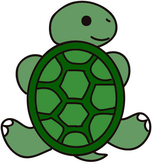Turtle Cartoon - Gallery