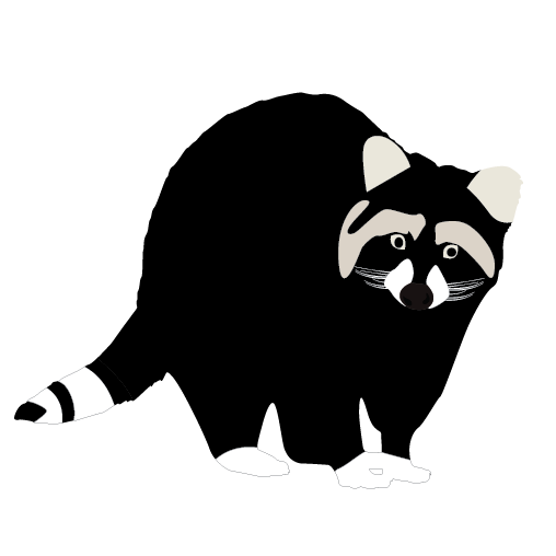 raccoon hat clipart png