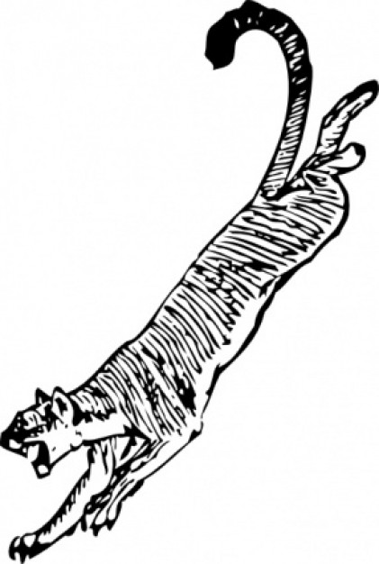 Cougar clip art Vector | Free Download