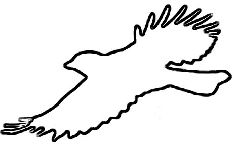 Bird Outlines - Clipart library