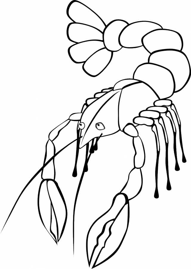 Crawfish 3 Black White Line Art Coloring Book Colouring Letters 