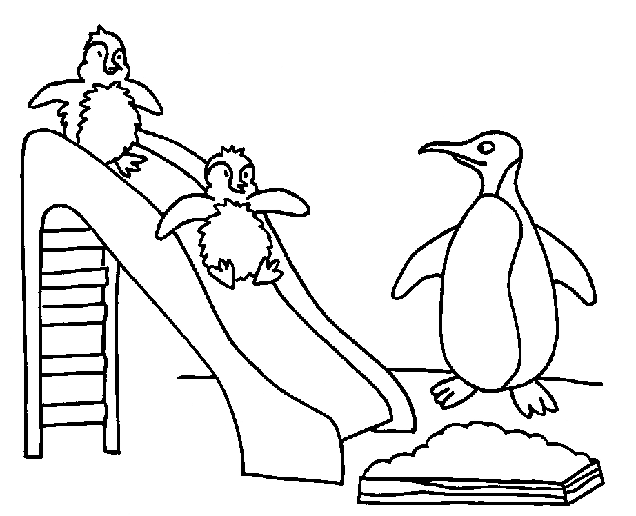 Penguin In A Sunny Day | Kids Coloring Page