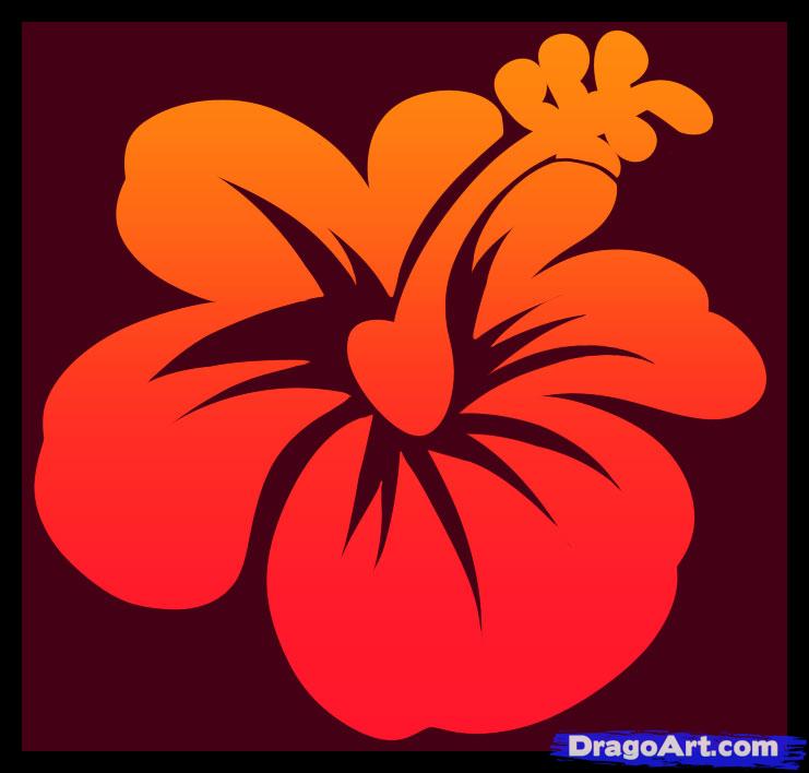 How to Draw a Hawaiian Flower, Step by Step, Flowers, Pop Culture 
