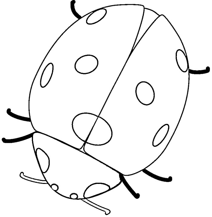 Printable Ladybug Coloring Pages - AZ Coloring Pages