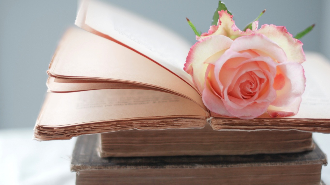 1414pink-rose-on-an-open-book