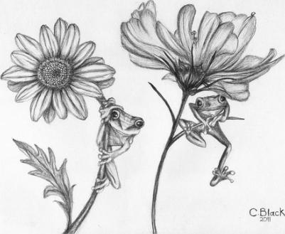 Featured image of post Flowers Drawing Pictures Pencil / Best regard veri apriyatno (admin).