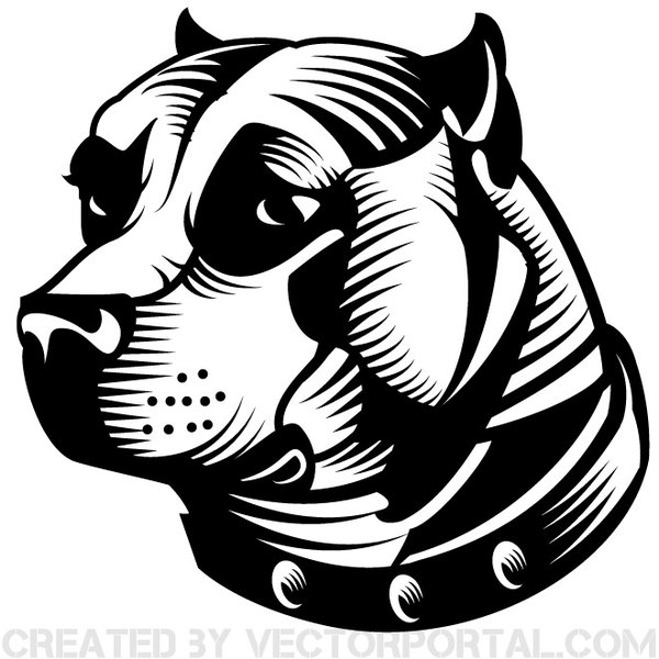 Pit Bull Dog Vector | FreeVectors.net