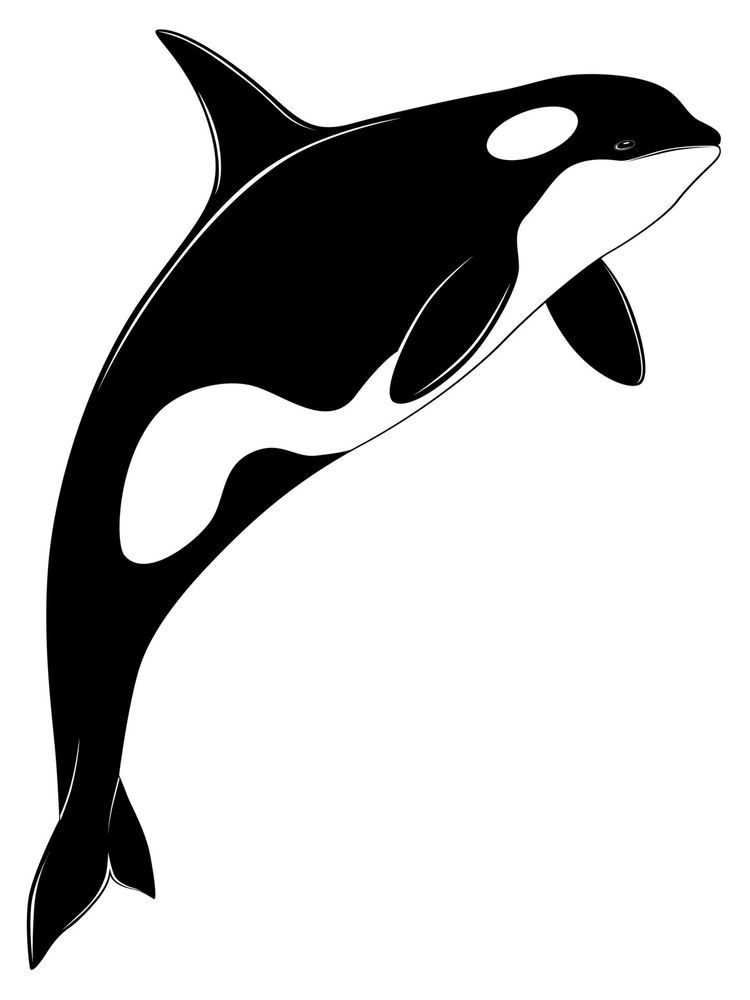 Free Whale Silhouette, Download Free Whale Silhouette png images, Free