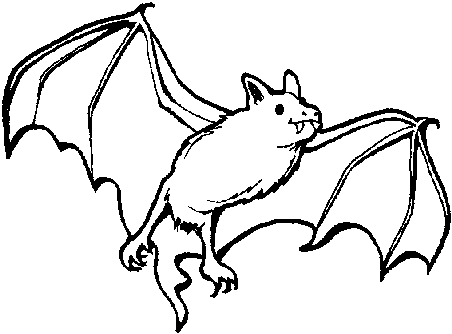 Bats Coloring Pages For Kids | Printable Coloring Pages