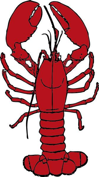 Lobster clip art - vector clip art online, royalty free  public 
