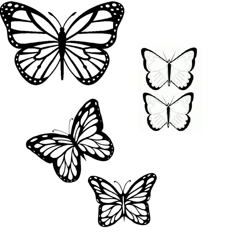 butterflies outline | tattoo | Clipart library
