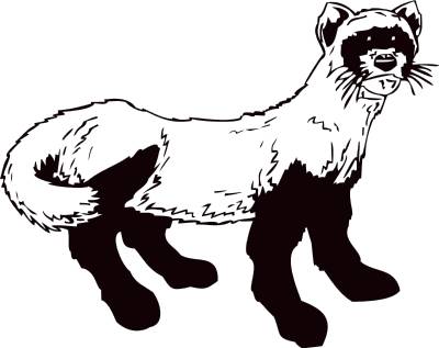 Mascots - Mongoose Clip Art