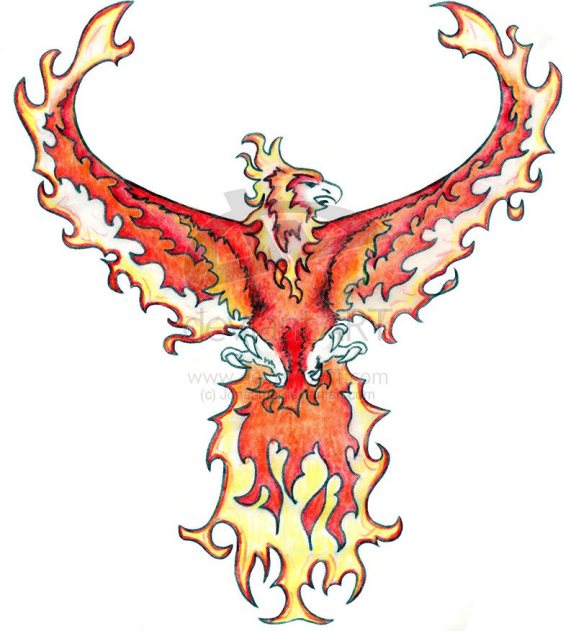 phoenix tattoos with flames - Clip Art Library