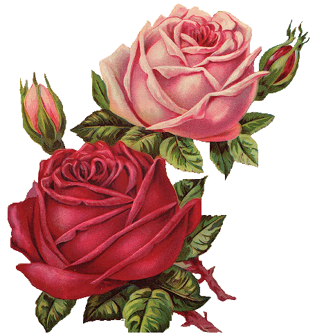Leaping Frog Designs: Vintage Pink and Red Roses Free PNG Image