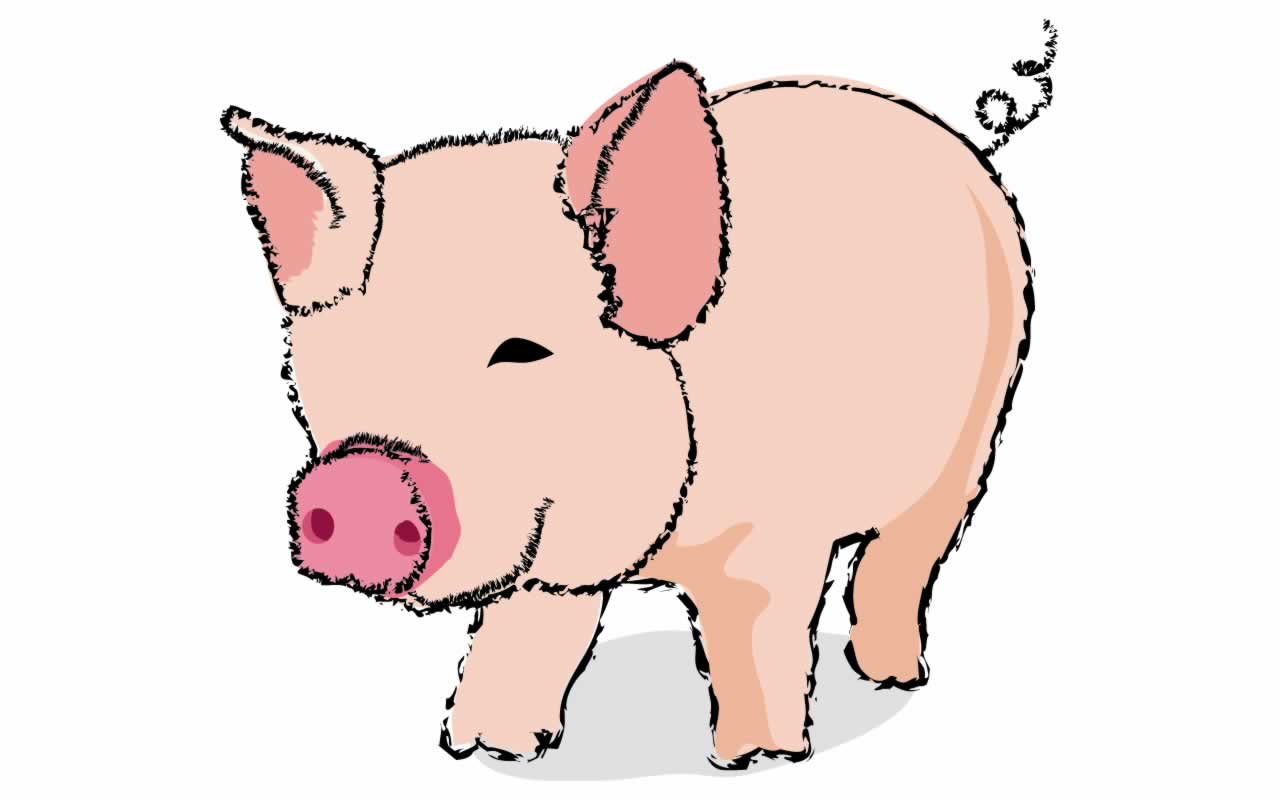 Cartoon Pig Wallpaper 22108 Hd Wallpapers in Animals 