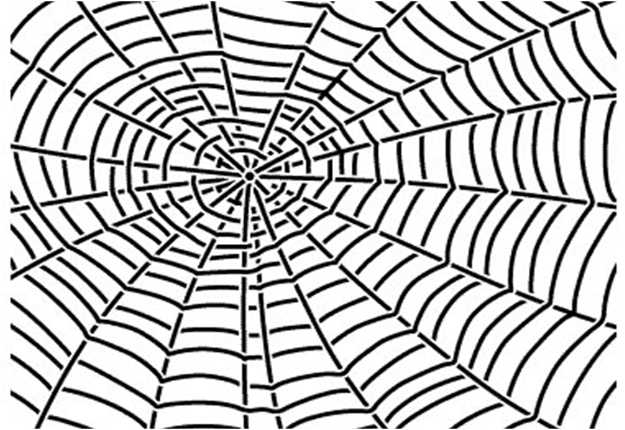 Spider Web Drawings