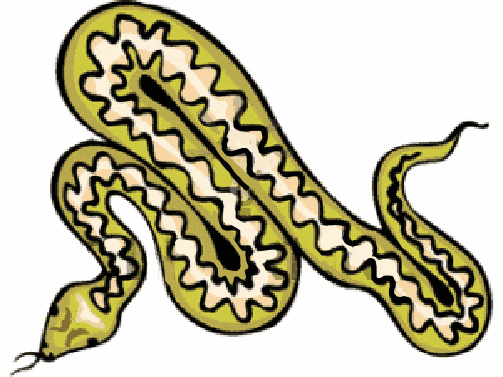 Snake Boa Clipart | Free Cliparts