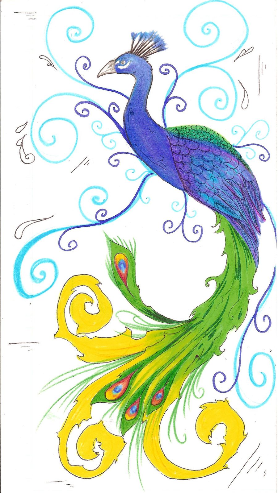 Free Simple Colorful Peacock Drawing Download Free Clip