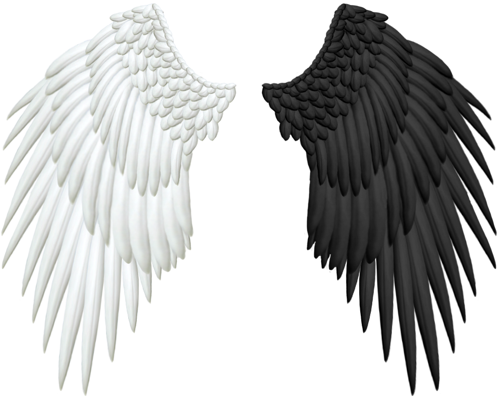 Clipart library: More Like Good and Evil Angel Wings PNG by Thy-Darkest 