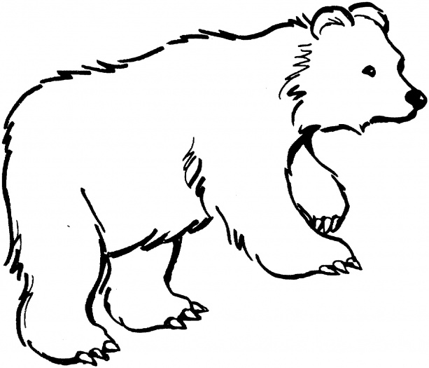 Animal Outlines to Print | Bear 13 coloring page | crafts | Clipart library