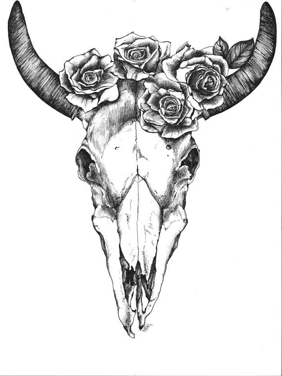 Bull Skull with Roses by quinndelahanty 