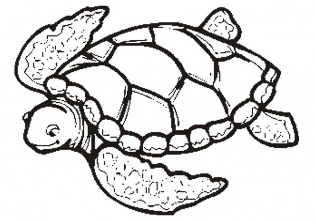Printable Coloring Pages Of Sea Turtles - deColoring