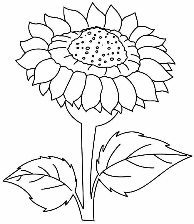 clipart flower coloring page - photo #27