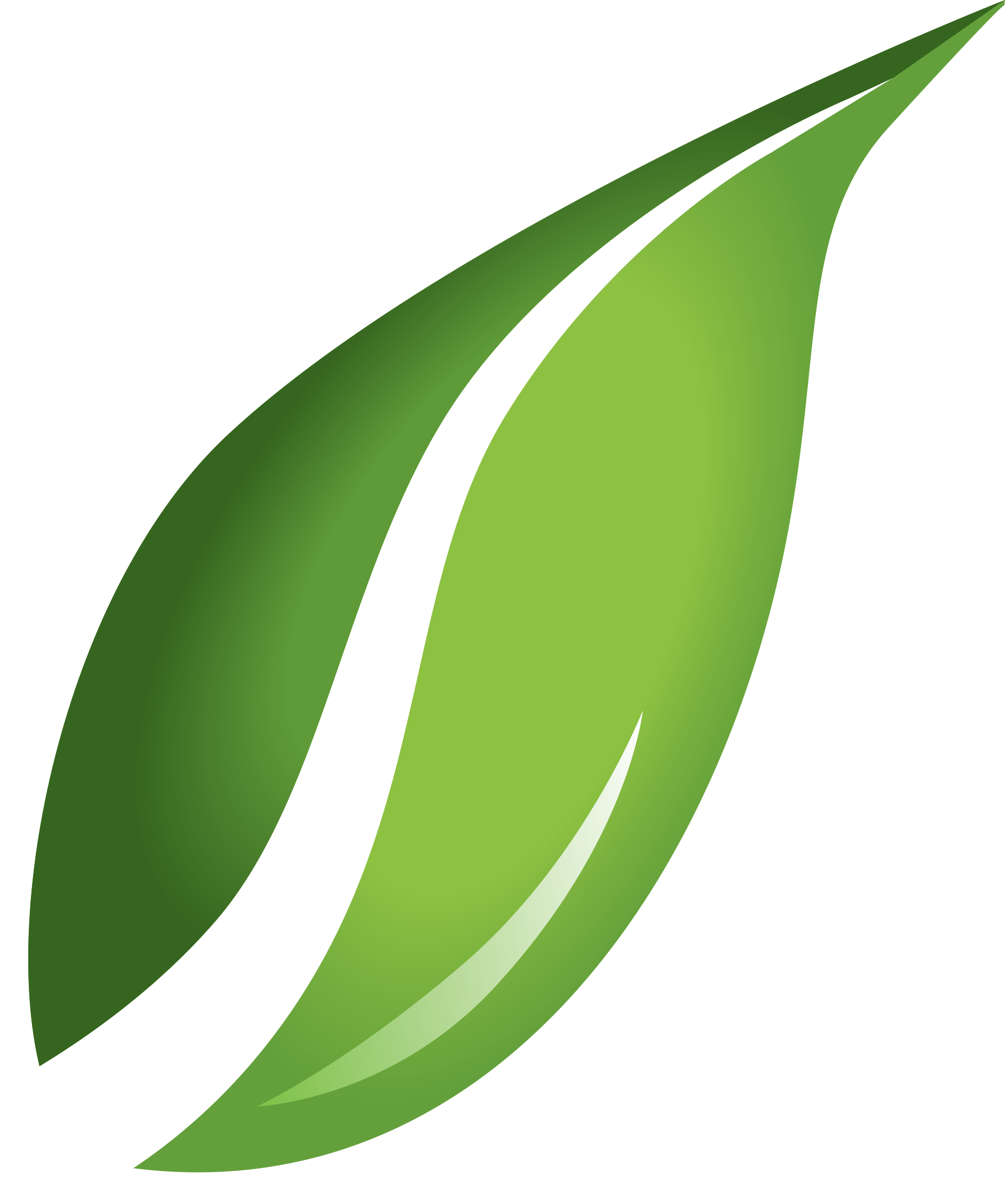 Leaf Png Sustainability The Icon - Free Icons