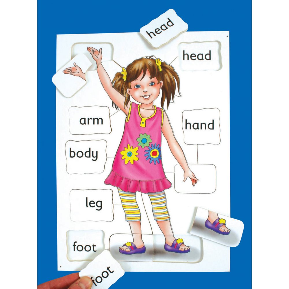 Body Parts Chart For Nursery